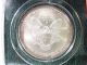 2001 Silver American Eagle Coin Liberty Walking Uncirculated Silver photo 3