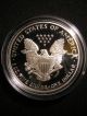 1995 - P 1 Ounce Proof American Eagle And C.  O.  A. Silver photo 5