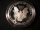 1991 - S 1 Ounce Proof American Eagle And C.  O.  A. Silver photo 10