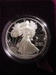 1991 - S 1 Ounce Proof American Eagle And C.  O.  A. Silver photo 1