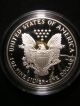 1991 - S 1 Ounce Proof American Eagle And C.  O.  A. Silver photo 5