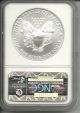 2010 American Silver Eagle Ms 70 Ngc Coins: US photo 1