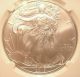 2013 (s) $1 Silver Eagle Ngc69 Silver Eagle Brown Label Silver photo 1