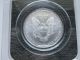 1999 $1silver American Eagle Walking Liberty Dollar Coin Littleton Unciruclated Silver photo 1