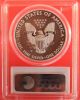 2013 - W Silver Eagle,  Enhanced State,  Pcgs Graded Ms69,  First Strike Silver photo 1