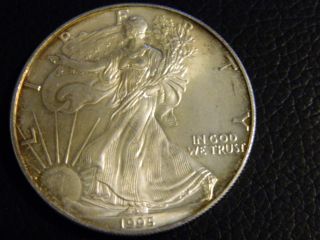 1995 Silver Eagle 1 Troy Ounce.  999 Fine Silver Dollar Lqqk Lqqk Nr 4 photo