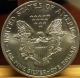 2006 American Eagle.  999 Fine Silver Dollar Coin - 1 Oz Troy - S1s Ka782 Silver photo 1