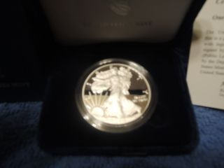 2013 W $1 Proof Silver American Eagle In With 1 Oz photo