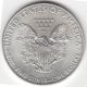 2013 U.  S.  Silver American Eagle $1 One Dollar 1 Oz Bullion Coin - Unc Silver photo 1