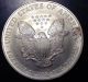 2004 1 Oz Silver American Eagle (brilliant Uncirculated).  999 Pure Silver photo 2