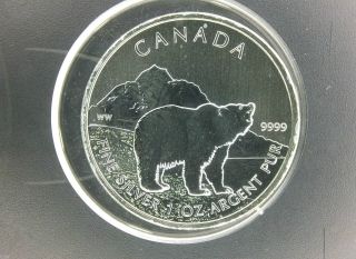 2011 Canada $5 Grizzly Bear Canadian Wildlife 1 Oz Silver.  9999 photo