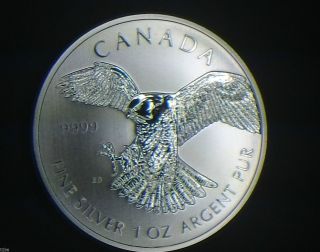 2014 Canada $5 Peregrine Falcon 1 Oz Silver.  9999 Birds Of Prey photo