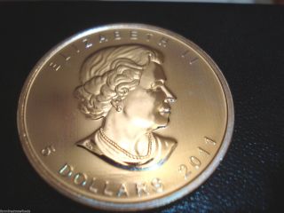 2011 1 Oz Silver Canadian Wolf Coin (wildlife Series) No Milk Spots Pristine photo