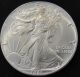 1987 American Silver Eagle Bullion Coin Key Date Uncirculated Nr Silver photo 1