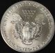 1991 American Silver Eagle Bullion Coin Key Date Investment Grade 1 Oz Silver Silver photo 2