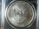2004 Silver Eagle - - - - Pcgs Ms69 - - - First Strike - - - Special Colectors Club Edition Silver photo 1