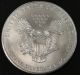 1994 American Silver Eagle Bullion Coin Key Date Investment Grade 1 Oz Silver Silver photo 2