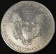1995 American Silver Eagle Bullion Coin Key Date Investment Grade 1 Oz Silver Silver photo 2