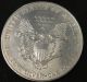 1995 American Silver Eagle Bullion Coin Key Date Investment Grade 1 Oz Silver Silver photo 3