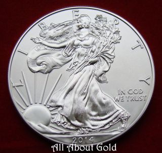 Silver Coin 1 Oz 2014 American Eagle Walking Liberty.  999 Fine Eagle Treasure Bu photo