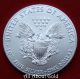 Silver Coin 1 Oz 2014 American Eagle Walking Liberty.  999 Fine Eagle Treasure Bu Silver photo 3