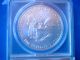 2011 25th Anni.  Initial Release Flag Label Anacs Ms70. . Silver photo 2