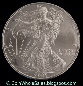 2005 1 Oz Silver American Eagle Coin - Brilliant Uncirculated photo