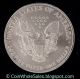 2005 1 Oz Silver American Eagle Coin - Brilliant Uncirculated Silver photo 1
