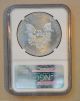2011 Silver Eagle - Ngc Slabbed Ms70 - 25th Anniversary - Early Releases Silver photo 1