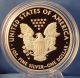 2013 W Select American Eagle $1 Silver Proof Coin 1 Oz Silver photo 11
