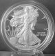 2013 W Select American Eagle $1 Silver Proof Coin 1 Oz Silver photo 1