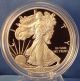 2013 W Select American Eagle $1 Silver Proof Coin 1 Oz Silver photo 3