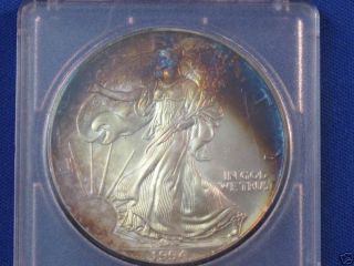 1994 American Silver Eagle Toning T0317l photo