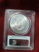 2012 Silver Eagle Pcgs Ms70 First Strike Uncirculated Low Pop Silver photo 2