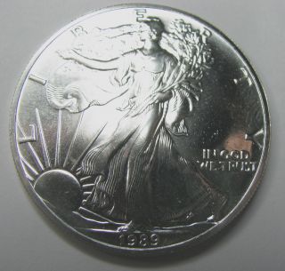 1989 Silver American Eagle photo