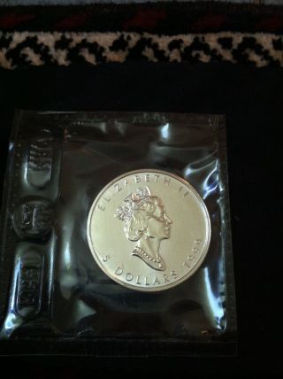 1999 Silver Maple Leaf Coin Rcm photo