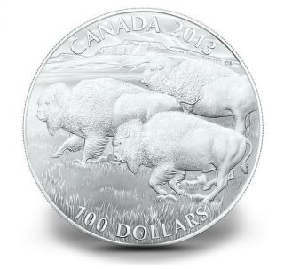 Canada 2013 Wildlife In Motion $100 1 Bison Buffalo Stampede Pure Silver Proof photo