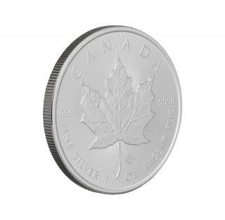 2014 Silver Maple Leaf Coin 1oz 9999 Pur Fine Silver Bullion,  Sml photo