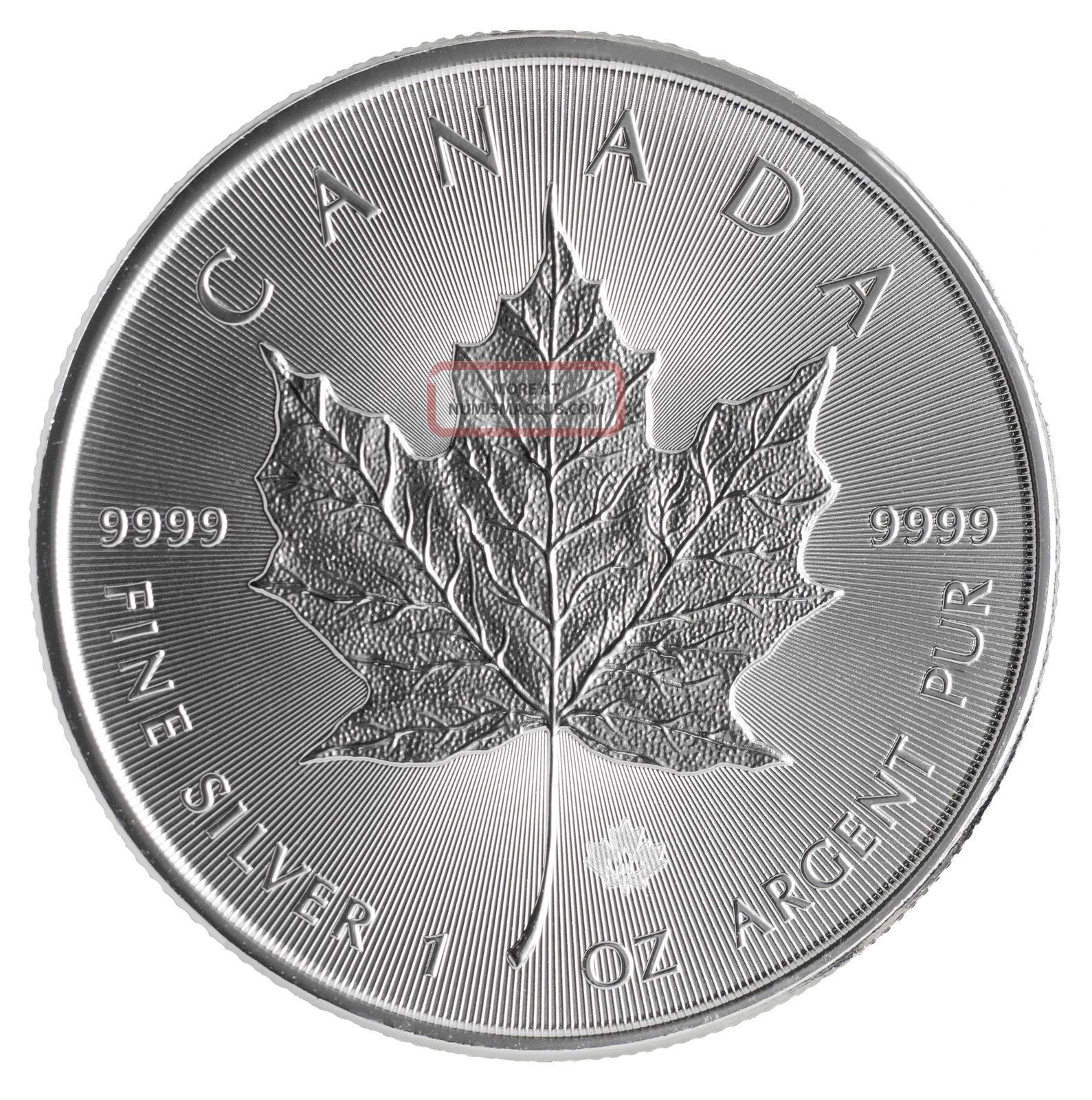 2014 Silver Maple Leaf Coin 1oz 9999 Pur Fine Silver Bullion, Sml