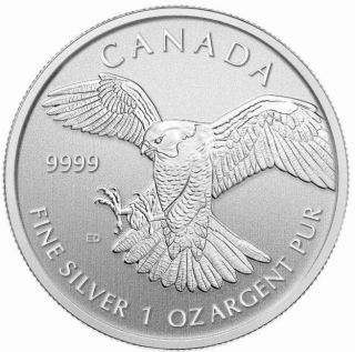 2014 1 Ounce Silver Canadian Birds Of Prey Coin - Peregrine Falcon - Limited photo