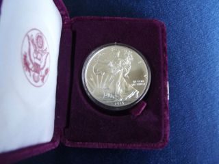 2013 1 Oz American Eagle.  999 Fine Silver Bullion Coin In Red Velvet Case photo