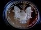 2014 W American Silver Eagle Proof With Packaging And Silver photo 1