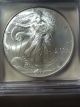 2001 American Silver Eagle Dollar Coin Icg Certified Ms70 Silver photo 4