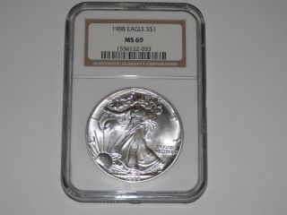 1988 American Silver Eagle Coin Ngc Ms 69 Brillant White photo