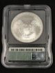 2001 American Silver Eagle Bullion Coin Key Date Icg Ms69 0124 Silver photo 2