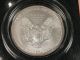 1995 American Silver Eagle Bullion Coin Key Date Uncirculated Nr Silver photo 2