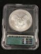 2002 American Silver Eagle Bullion Coin Key Date Icg Ms69 0184 Silver photo 2