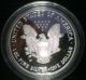 2006 - W 1 Oz Proof American Eagle Silver Bullion Dollar Coin (w/box &) Silver photo 1