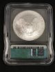 2006 American Silver Eagle Bullion Coin Key Date Icg Ms69 0106 Silver photo 2