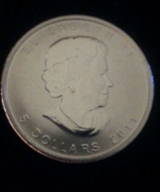 2011 $5 Canadian Grizzly Bear 1 Oz.  9999 Argent Pur Silver Bullion Coin Canada photo